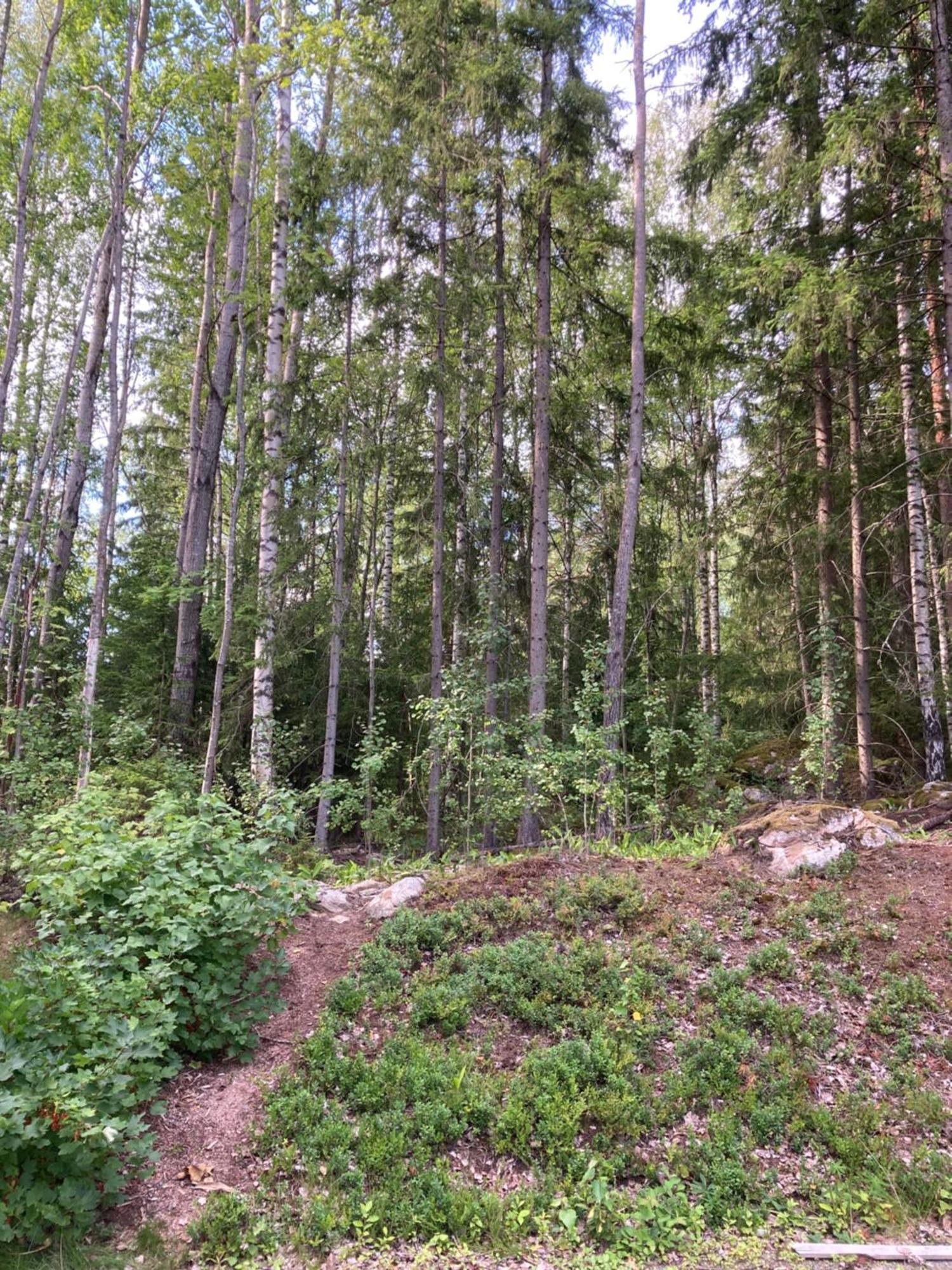 Yksio Multisillassa. Sanky Kahdelle. Tampere Kültér fotó